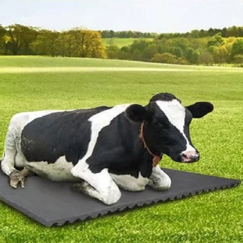 COW MAT PLAIN 17MM 36KG