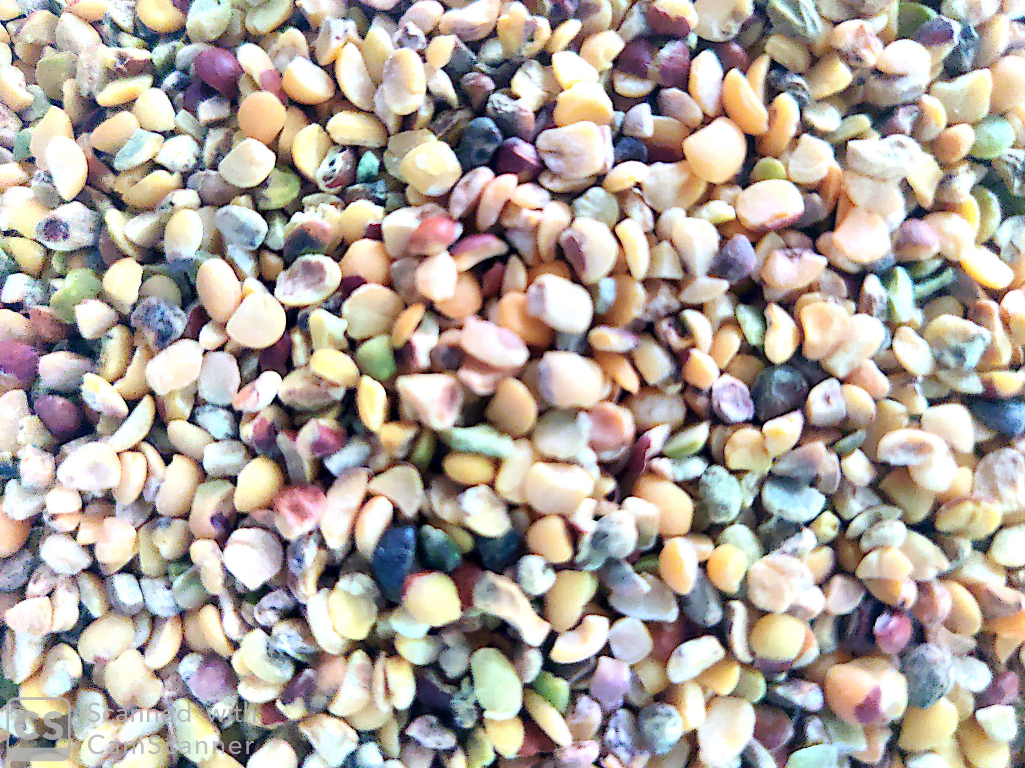துவரம் குருனை